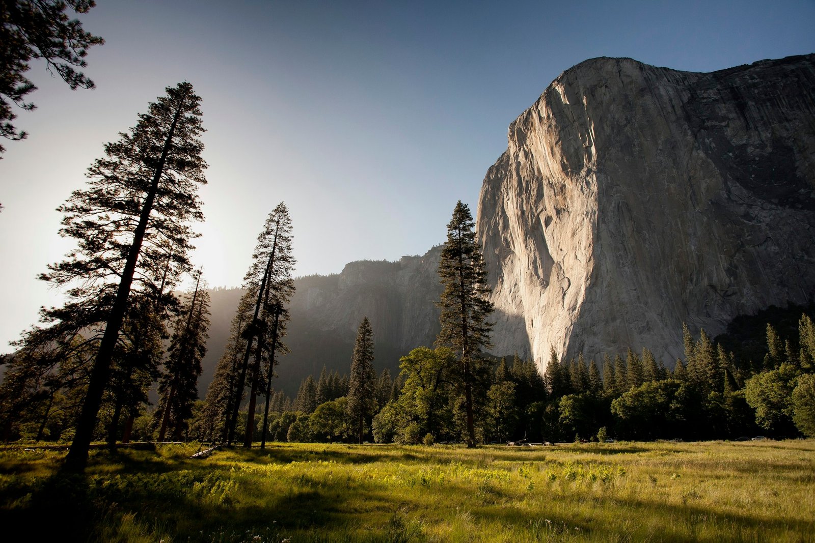 Trek Trips